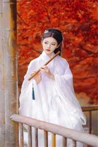 结局+番外书斋锁陆景渊苏婉儿